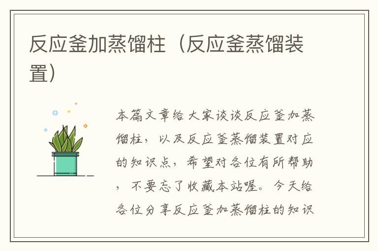 反应釜加蒸馏柱(反应釜蒸馏装置)