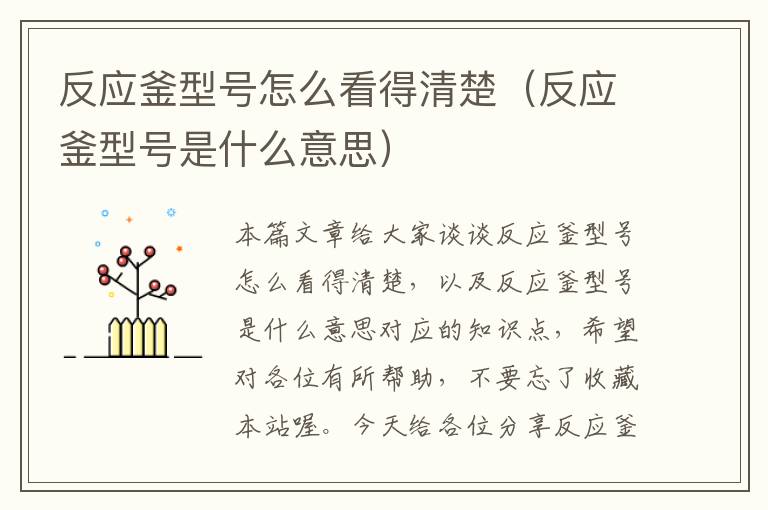 反应釜型号怎么看得清楚(反应釜型号是什么意思)