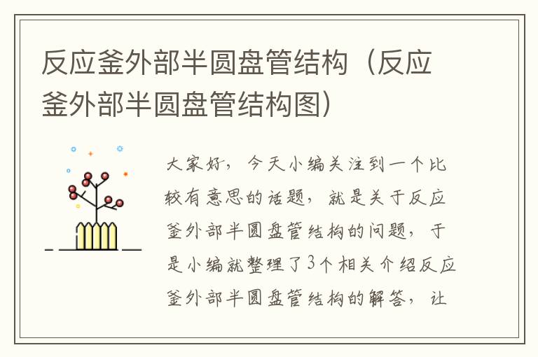 反应釜外部半圆盘管结构(反应釜外部半圆盘管结构图)