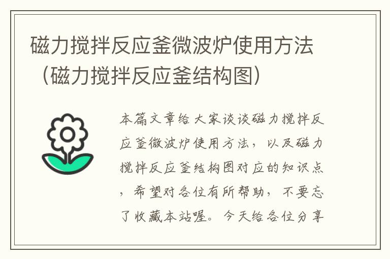 磁力搅拌反应釜微波炉使用方法(磁力搅拌反应釜结构图)