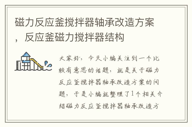 磁力反应釜搅拌器轴承改造方案,反应釜磁力搅拌器结构