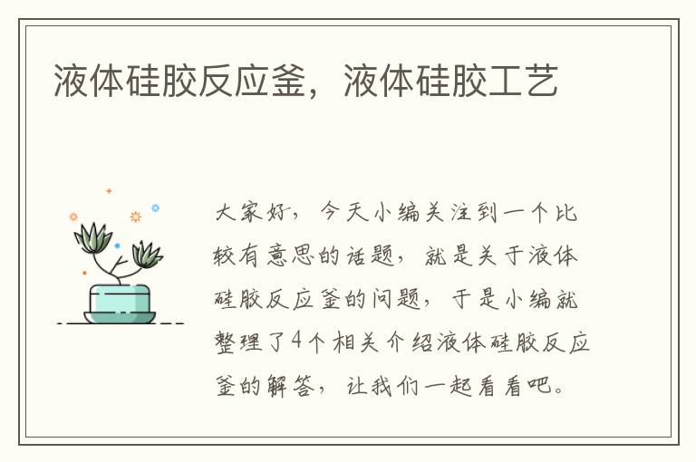 液体硅胶反应釜,液体硅胶工艺
