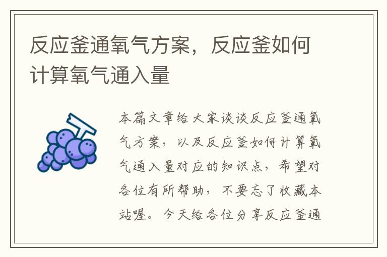 反应釜通氧气方案,反应釜如何计算氧气通入量