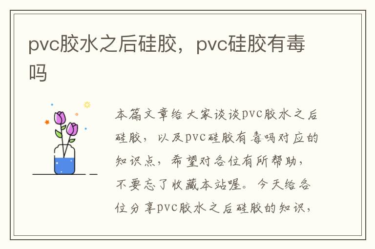 pvc胶水之后硅胶，pvc硅胶有毒吗