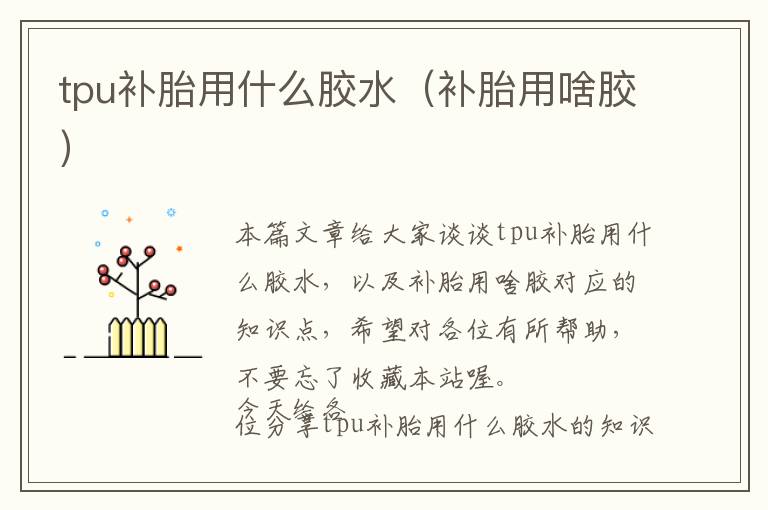 tpu补胎用什么胶水(补胎用啥胶)