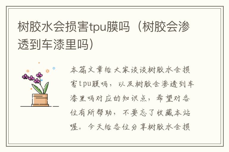 树胶水会损害tpu膜吗(树胶会渗透到车漆里吗)