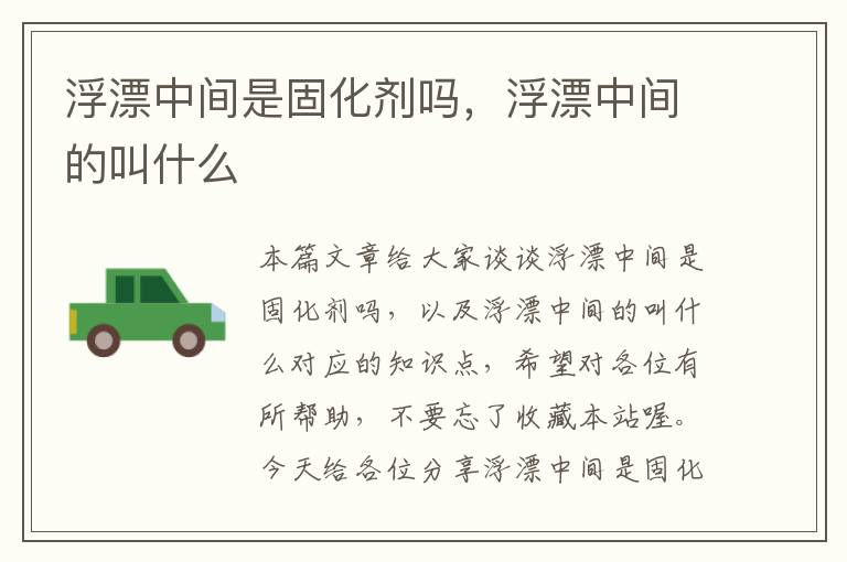浮漂中间是固化剂吗,浮漂中间的叫什么