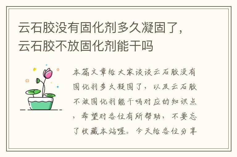 云石胶没有固化剂多久凝固了,云石胶不放固化剂能干吗