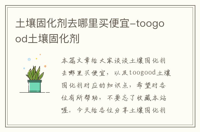 土壤固化剂去哪里买便宜-toogood土壤固化剂