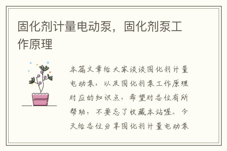 固化剂计量电动泵,固化剂泵工作原理