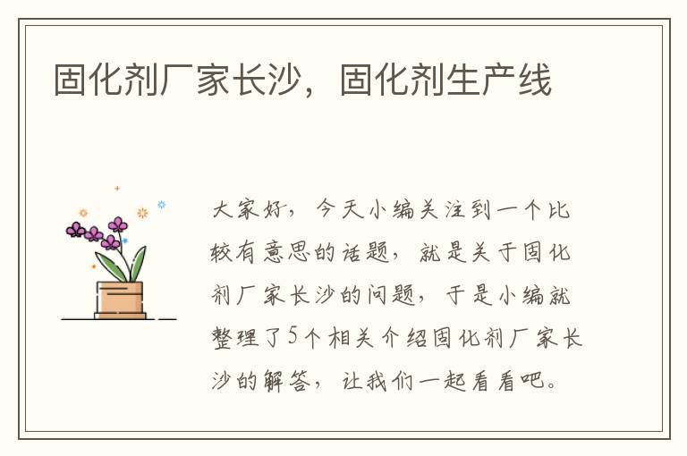 固化剂厂家长沙,固化剂生产线