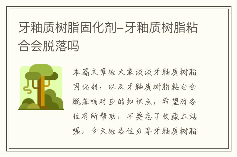 牙釉质树脂固化剂-牙釉质树脂粘合会脱落吗