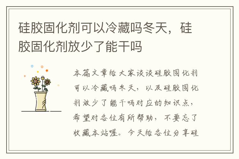 硅胶固化剂可以冷藏吗冬天,硅胶固化剂放少了能干吗