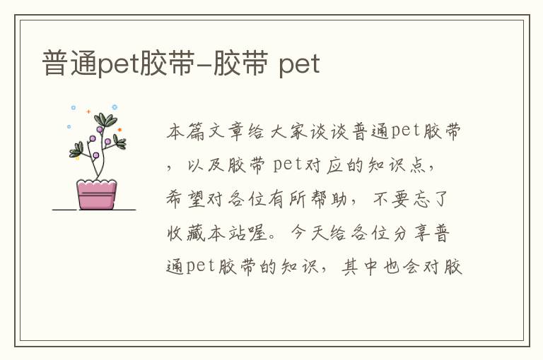 普通pet胶带-胶带 pet