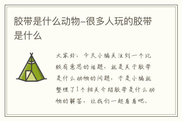胶带是什么动物-很多人玩的胶带是什么