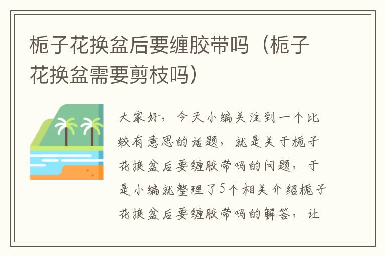 栀子花换盆后要缠胶带吗(栀子花换盆需要剪枝吗)