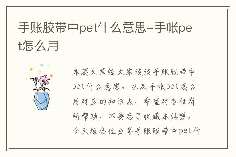 手账胶带中pet什么意思-手帐pet怎么用