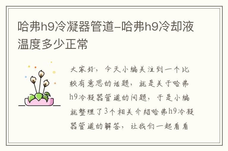 哈弗h9冷凝器管道-哈弗h9冷却液温度多少正常
