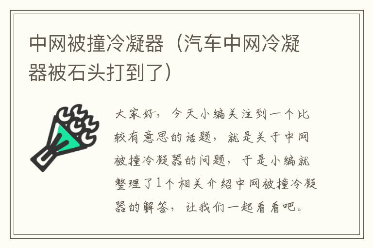 中网被撞冷凝器(汽车中网冷凝器被石头打到了)
