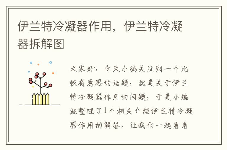 伊兰特冷凝器作用,伊兰特冷凝器拆解图