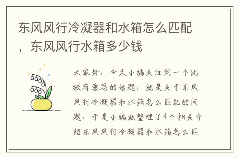 东风风行冷凝器和水箱怎么匹配,东风风行水箱多少钱