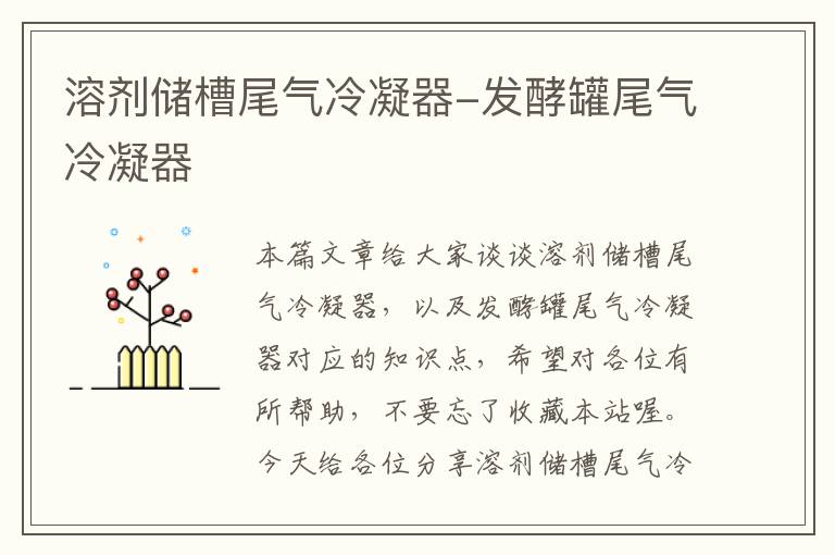 溶剂储槽尾气冷凝器-发酵罐尾气冷凝器