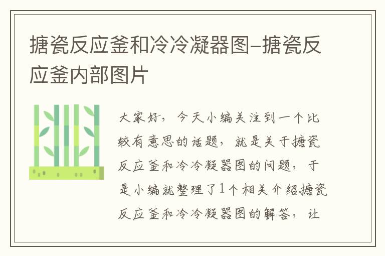 搪瓷反应釜和冷冷凝器图-搪瓷反应釜内部图片