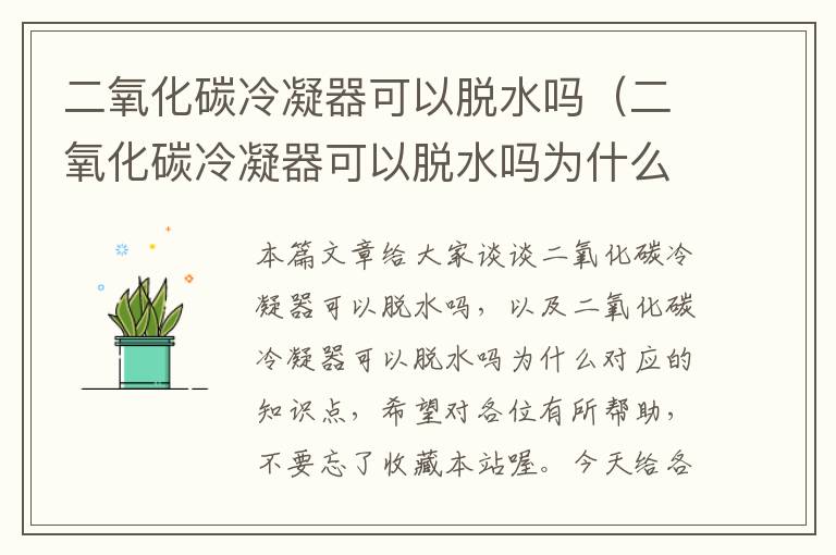 二氧化碳冷凝器可以脱水吗(二氧化碳冷凝器可以脱水吗为什么)