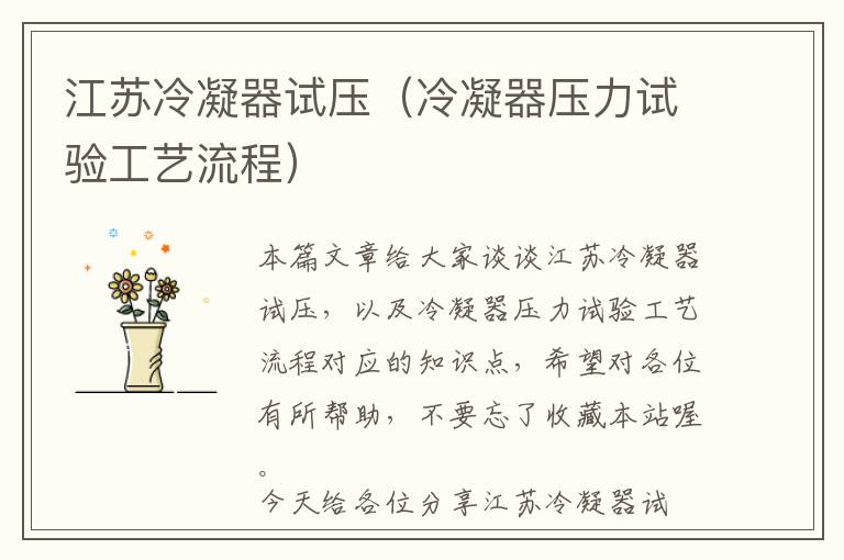 江苏冷凝器试压(冷凝器压力试验工艺流程)