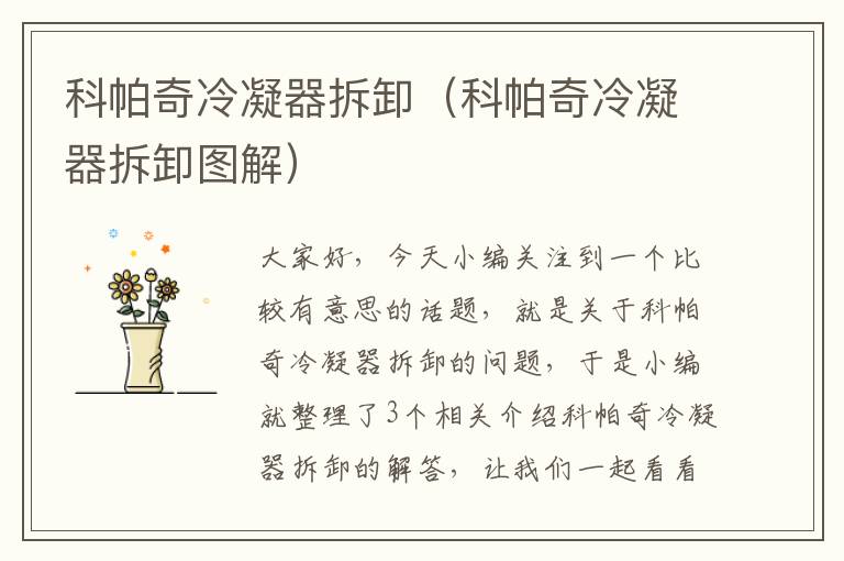 科帕奇冷凝器拆卸(科帕奇冷凝器拆卸图解)