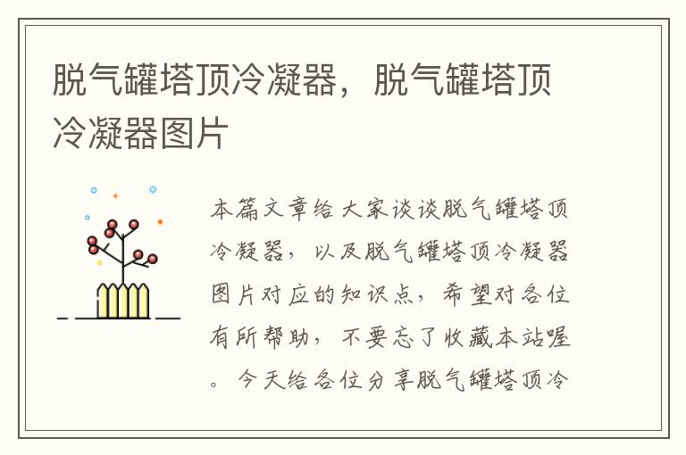 脱气罐塔顶冷凝器,脱气罐塔顶冷凝器图片