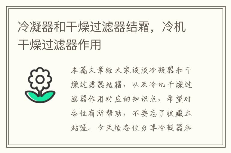 冷凝器和干燥过滤器结霜,冷机干燥过滤器作用