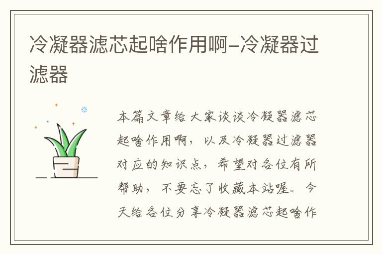 冷凝器滤芯起啥作用啊-冷凝器过滤器