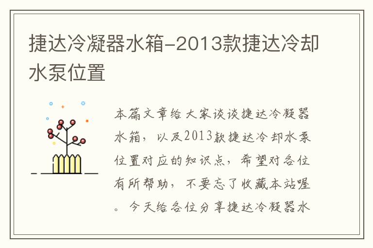 捷达冷凝器水箱-2013款捷达冷却水泵位置