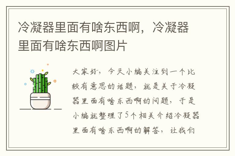 冷凝器里面有啥东西啊,冷凝器里面有啥东西啊图片