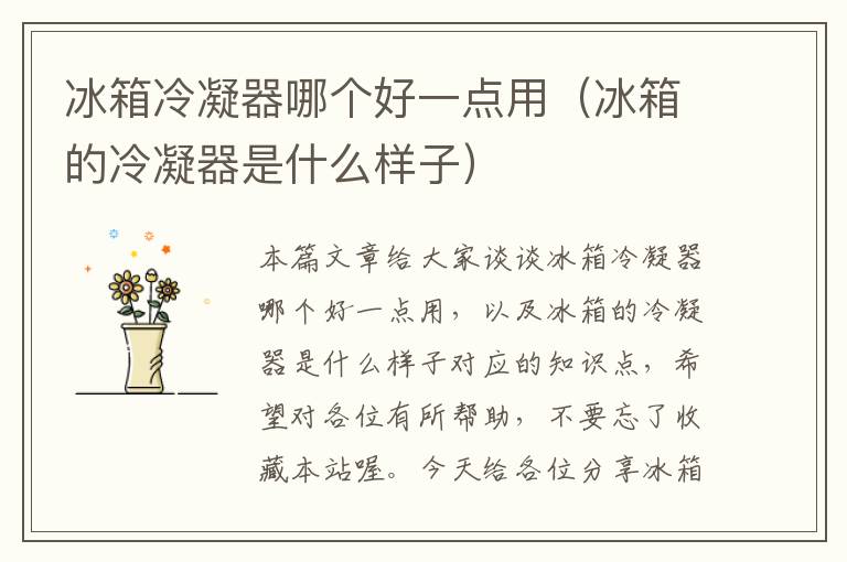 冰箱冷凝器哪个好一点用(冰箱的冷凝器是什么样子)