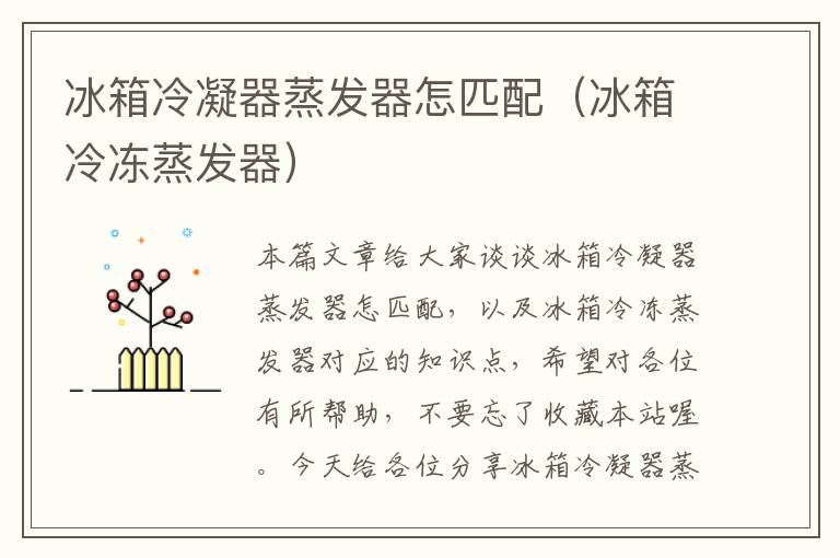 冰箱冷凝器蒸发器怎匹配(冰箱冷冻蒸发器)