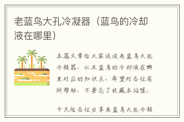 老蓝鸟大孔冷凝器(蓝鸟的冷却液在哪里)