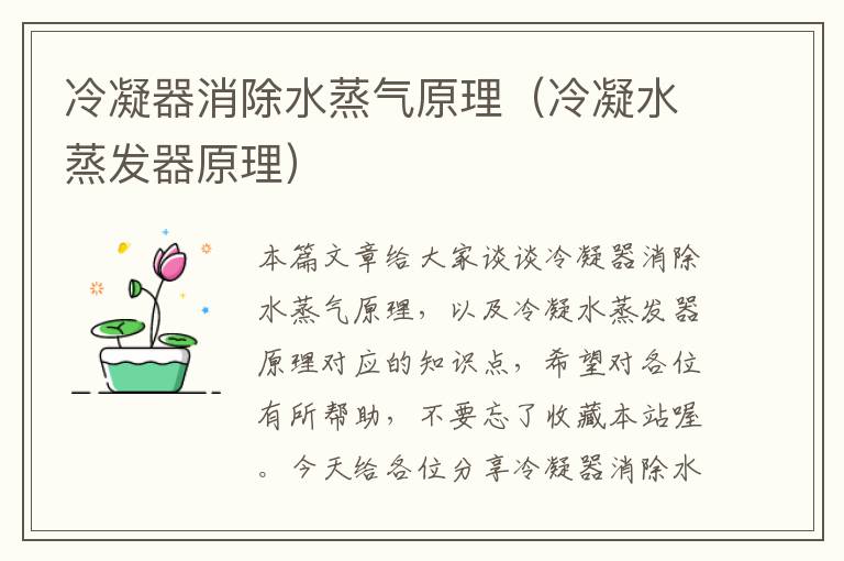 冷凝器消除水蒸气原理(冷凝水蒸发器原理)