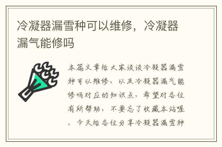 冷凝器漏雪种可以维修,冷凝器漏气能修吗