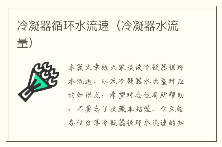 冷凝器循环水流速(冷凝器水流量)