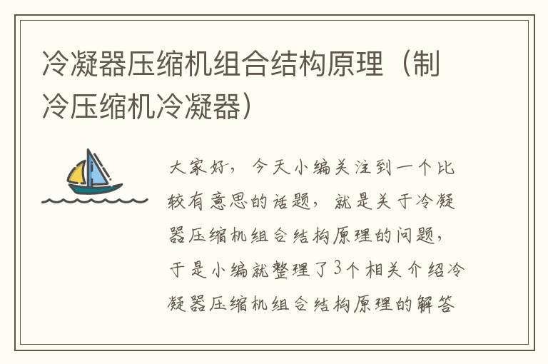 冷凝器压缩机组合结构原理(制冷压缩机冷凝器)