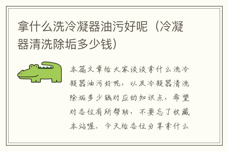 拿什么洗冷凝器油污好呢(冷凝器清洗除垢多少钱)
