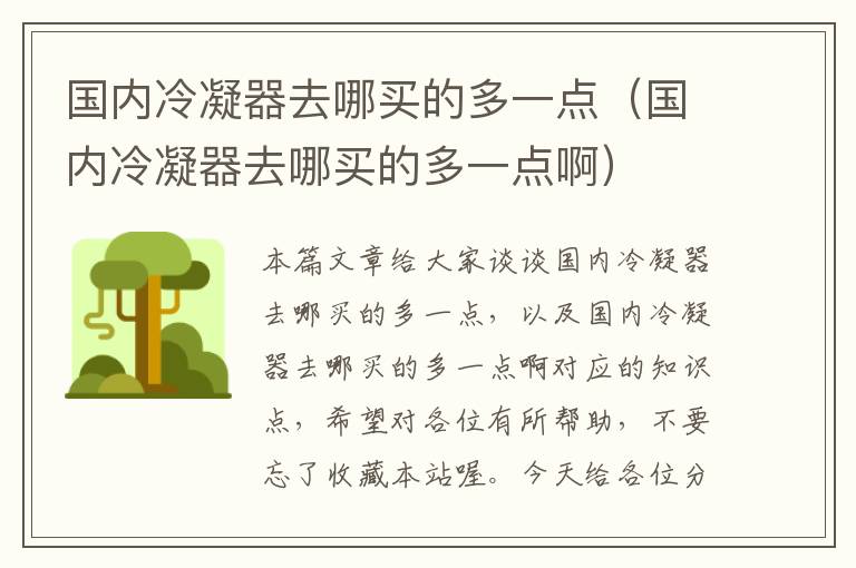 国内冷凝器去哪买的多一点(国内冷凝器去哪买的多一点啊)
