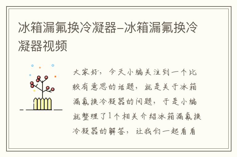 冰箱漏氟换冷凝器-冰箱漏氟换冷凝器视频