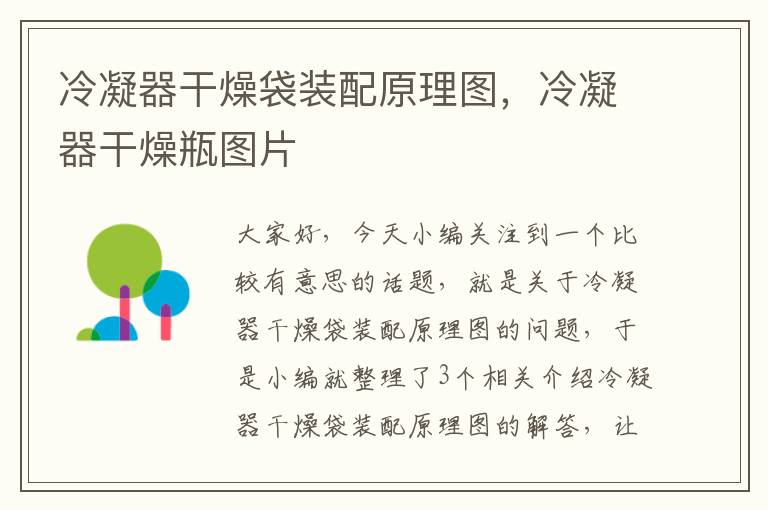 冷凝器干燥袋装配原理图,冷凝器干燥瓶图片