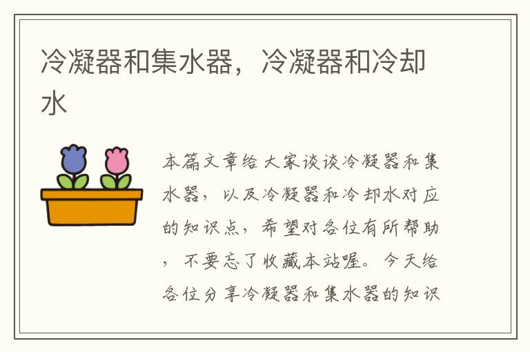 冷凝器和集水器,冷凝器和冷却水