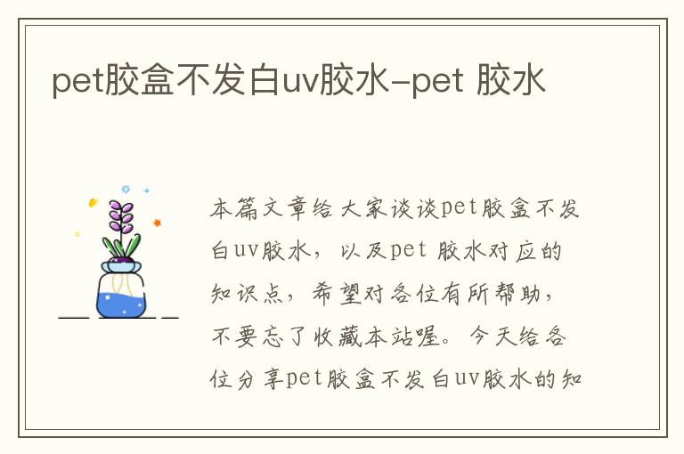 pet胶盒不发白uv胶水-pet 胶水