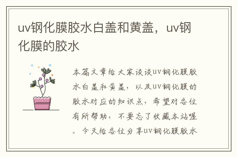 uv钢化膜胶水白盖和黄盖,uv钢化膜的胶水