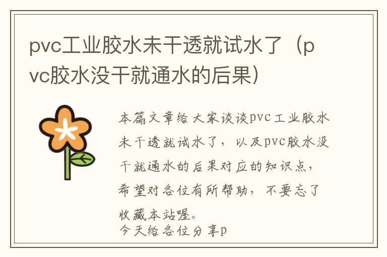 pvc工业胶水未干透就试水了(pvc胶水没干就通水的后果)